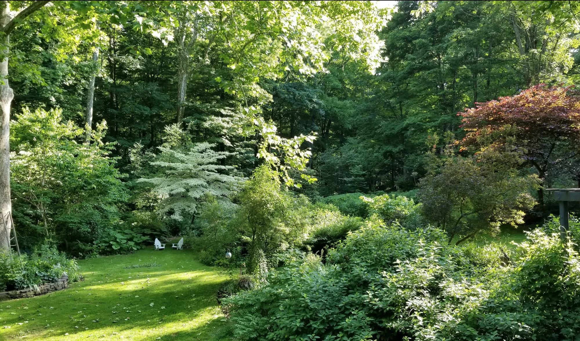 Summer at Fleecydale Mill